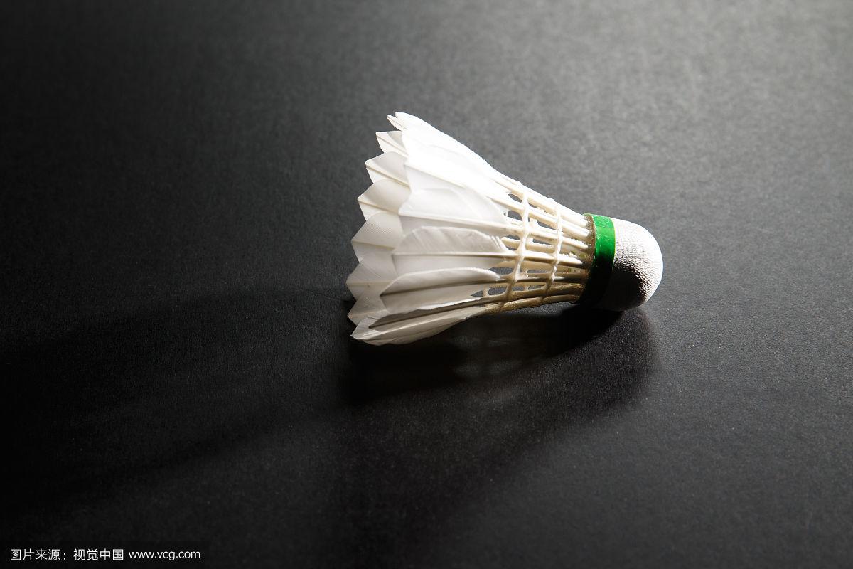 的登记路径 的登记路径