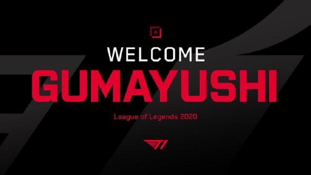 能量与投射 能量与投射